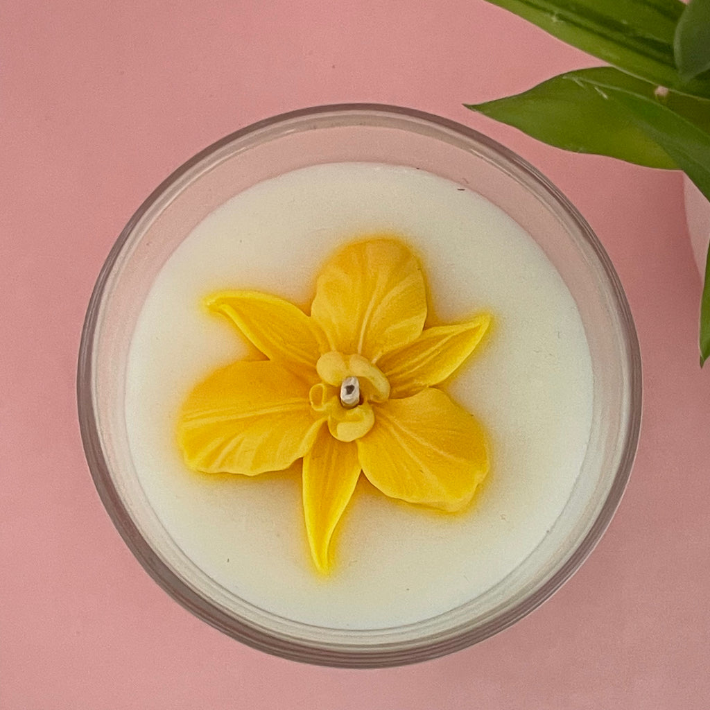 Świeca sojowa Wanilia | 230ml